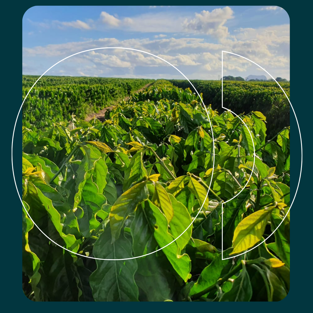 Imagem Principal TecnoAgro